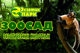 Выставка в зоосаде "Экзотик парк"