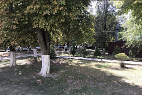 Сквер "Соколенок"